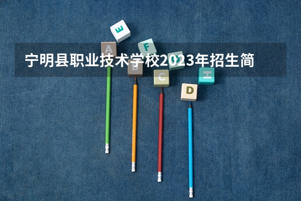 宁明县职业技术学校2023年招生简章