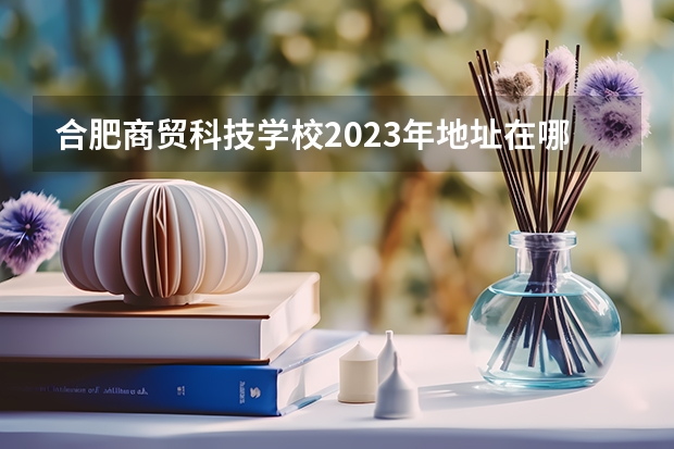 合肥商贸科技学校2023年地址在哪里