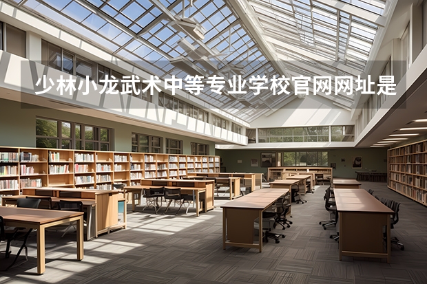 少林小龙武术中等专业学校官网网址是什么