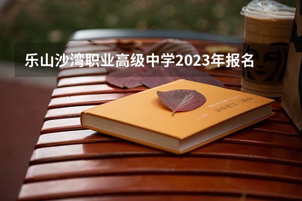 乐山沙湾职业高级中学2023年报名条件、招生要求、招生对象