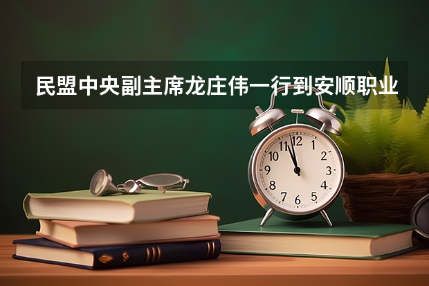 民盟中央副主席龙庄伟一行到安顺职业技术学院视察指导工作