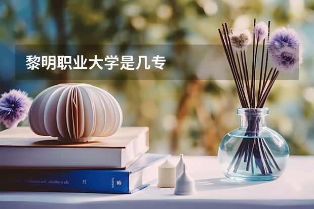 黎明职业大学是几专