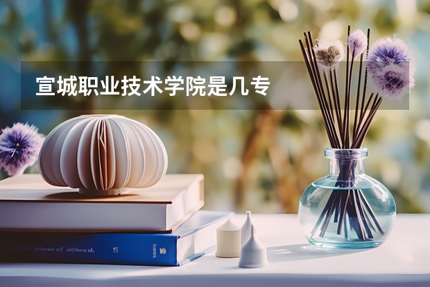 宣城职业技术学院是几专