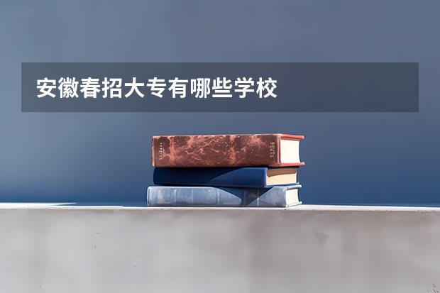 安徽春招大专有哪些学校