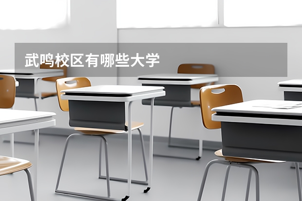 武鸣校区有哪些大学