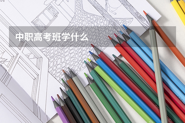 中职高考班学什么