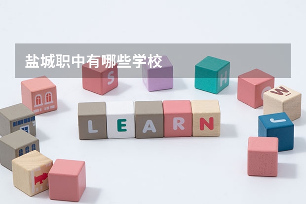 盐城职中有哪些学校
