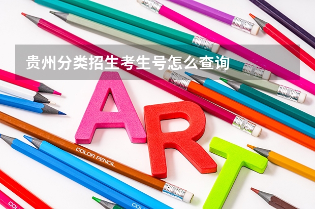 贵州分类招生考生号怎么查询