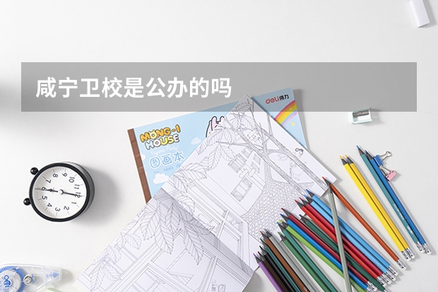 咸宁卫校是公办的吗