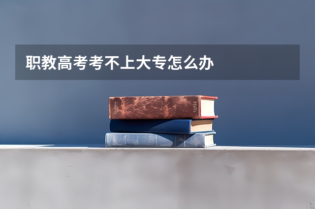 职教高考考不上大专怎么办