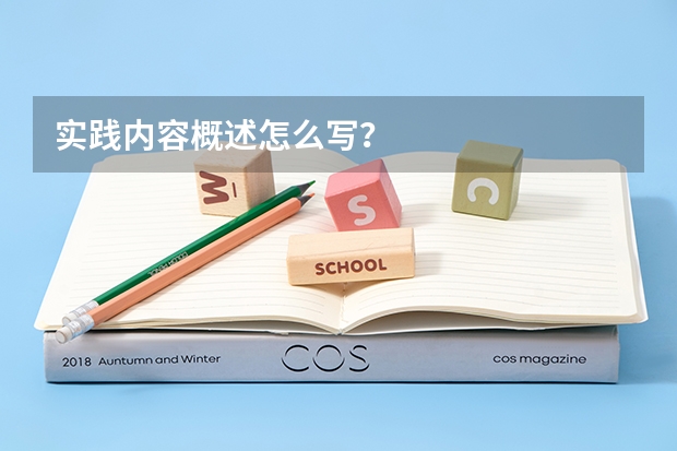实践内容概述怎么写？