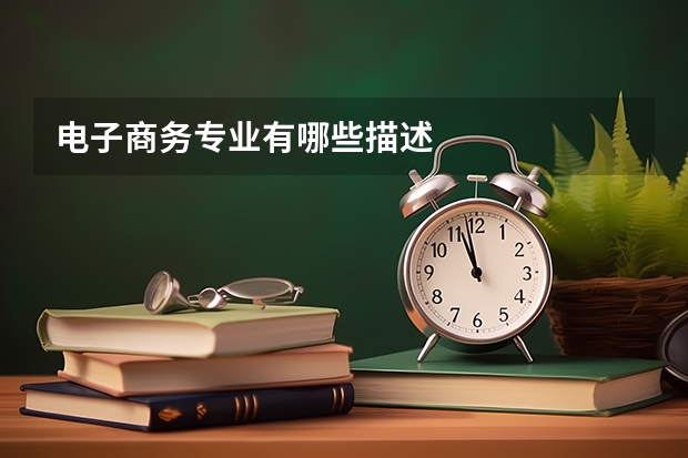 电子商务专业有哪些描述