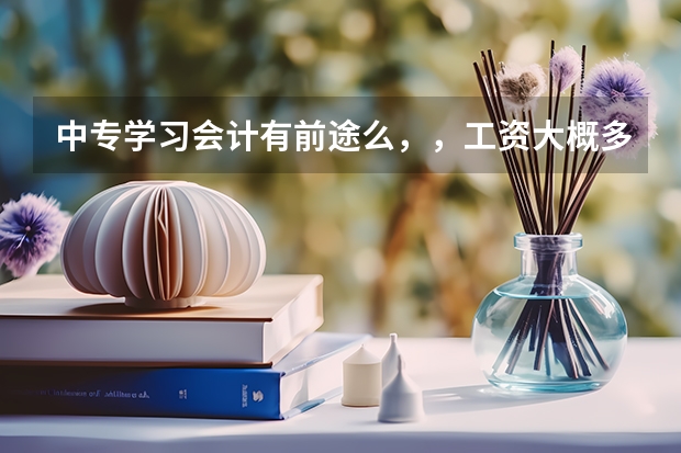 中专学习会计有前途么，，工资大概多少钱一个月
