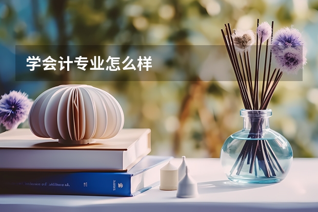 学会计专业怎么样