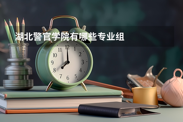 湖北警官学院有哪些专业组