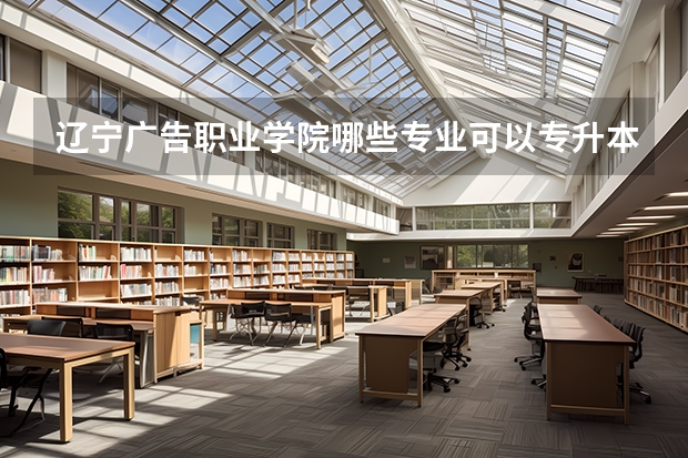 辽宁广告职业学院哪些专业可以专升本
