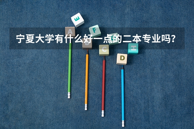 宁夏大学有什么好一点的二本专业吗？