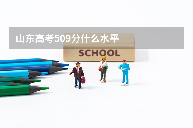 山东高考509分什么水平