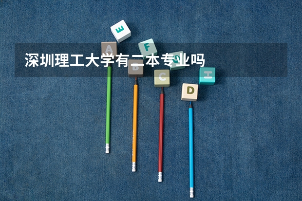 深圳理工大学有二本专业吗
