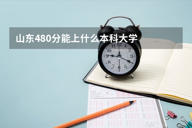 山东480分能上什么本科大学