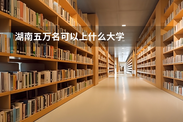 湖南五万名可以上什么大学