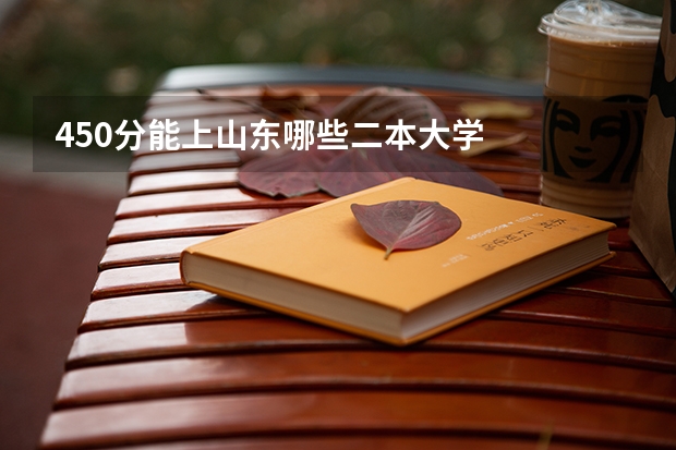 450分能上山东哪些二本大学