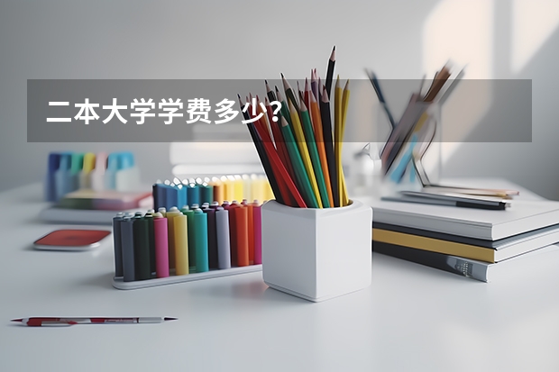 二本大学学费多少？