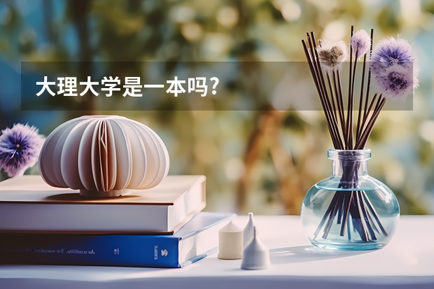 大理大学是一本吗?