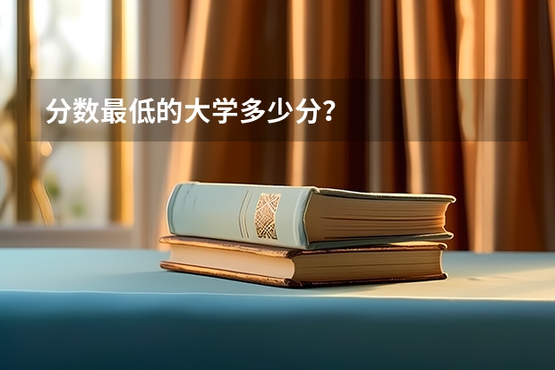 分数最低的大学多少分？