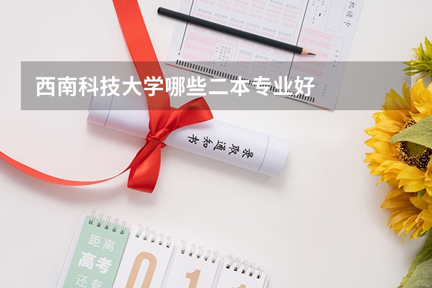 西南科技大学哪些二本专业好