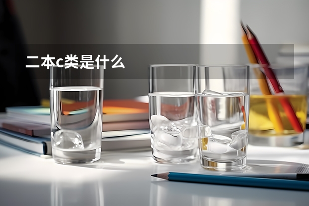二本c类是什么