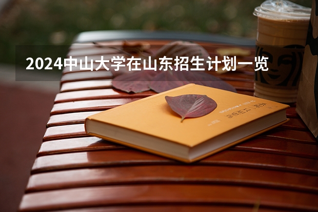 2024中山大学在山东招生计划一览表