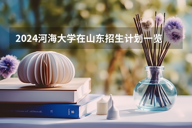 2024河海大学在山东招生计划一览表