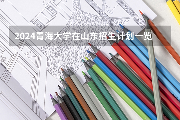 2024青海大学在山东招生计划一览表