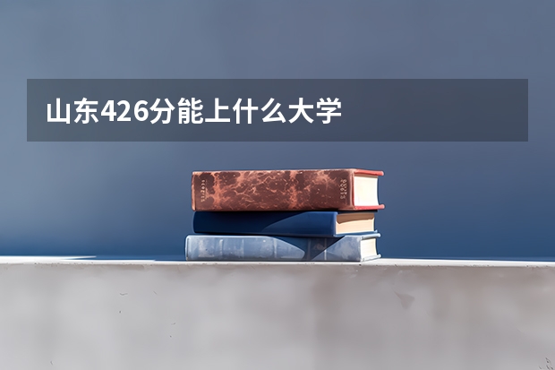 山东426分能上什么大学