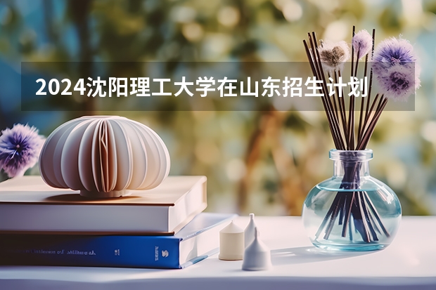 2024沈阳理工大学在山东招生计划一览表