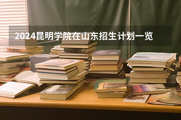 2024昆明学院在山东招生计划一览表