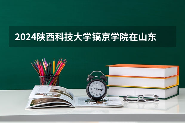 2024陕西科技大学镐京学院在山东招生计划一览表
