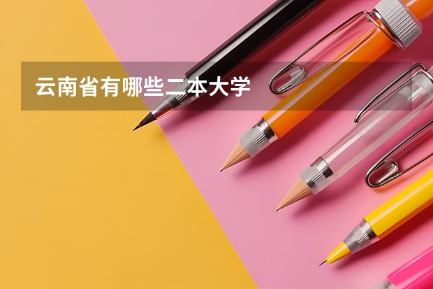 云南省有哪些二本大学