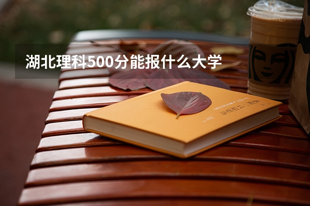 湖北理科500分能报什么大学
