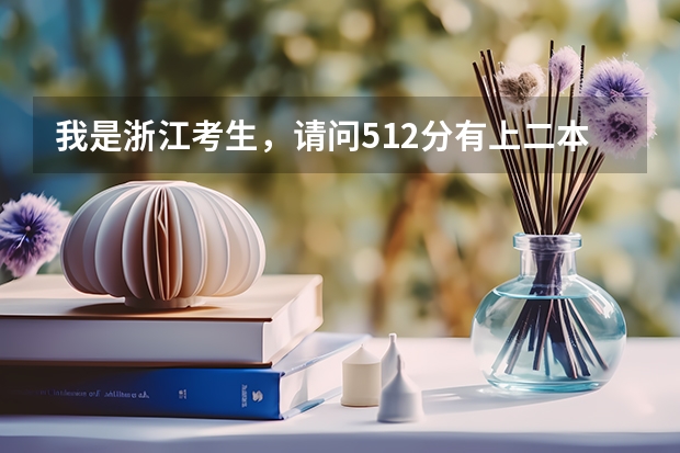 我是浙江考生，请问512分有上二本的可能吗？有什么学校？
