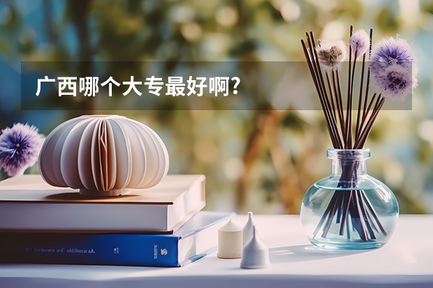广西哪个大专最好啊?