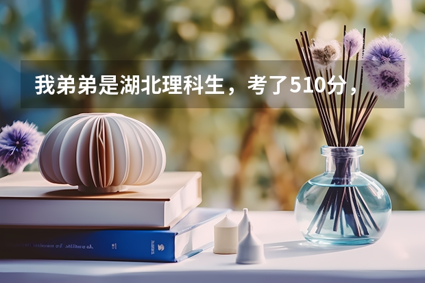 我弟弟是湖北理科生，考了510分，只比二本一高四分，请问填哪个学校比较保险？