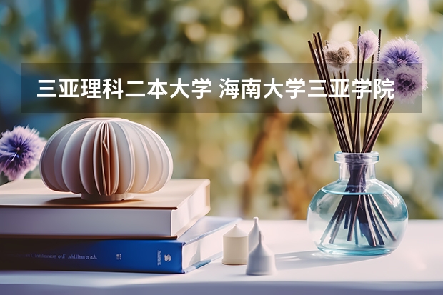 三亚理科二本大学 海南大学三亚学院分数线