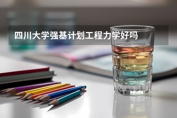 四川大学强基计划工程力学好吗